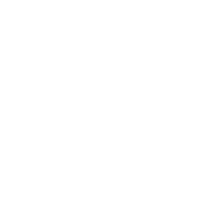 Fly Travel